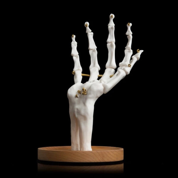 Skeleton Hand Jewelry Organizer