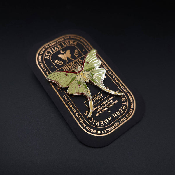 {coming soon!} Luna Moth Educational Insect Enamel Pin