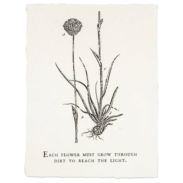 Each Flower Must Grow 12x16 Botanical Handmade Paper Print