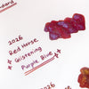 Red Horse | 2026 Special Ink of the Year