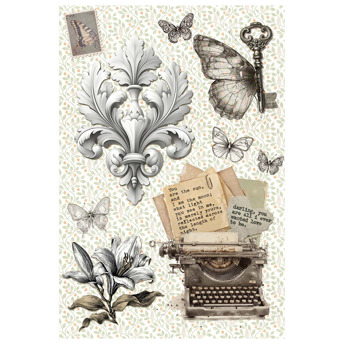 Typographic A4 Mixed 4pk Rice Paper