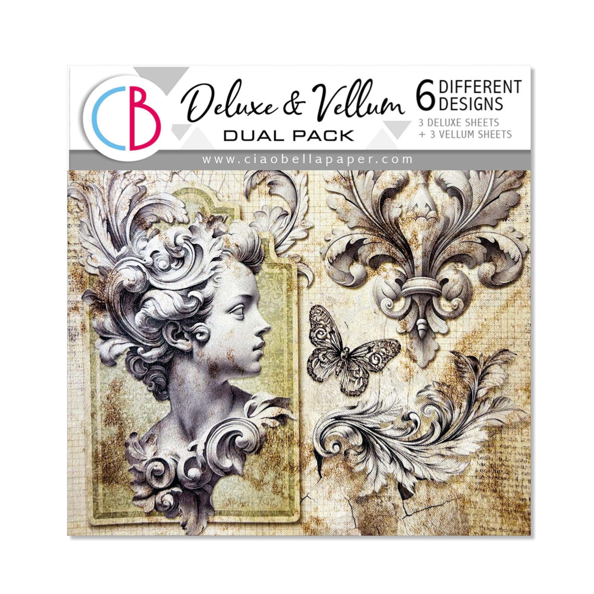 Typographic 6x6 Deluxe Paper Pearl Copper & Vellum Dual Pack