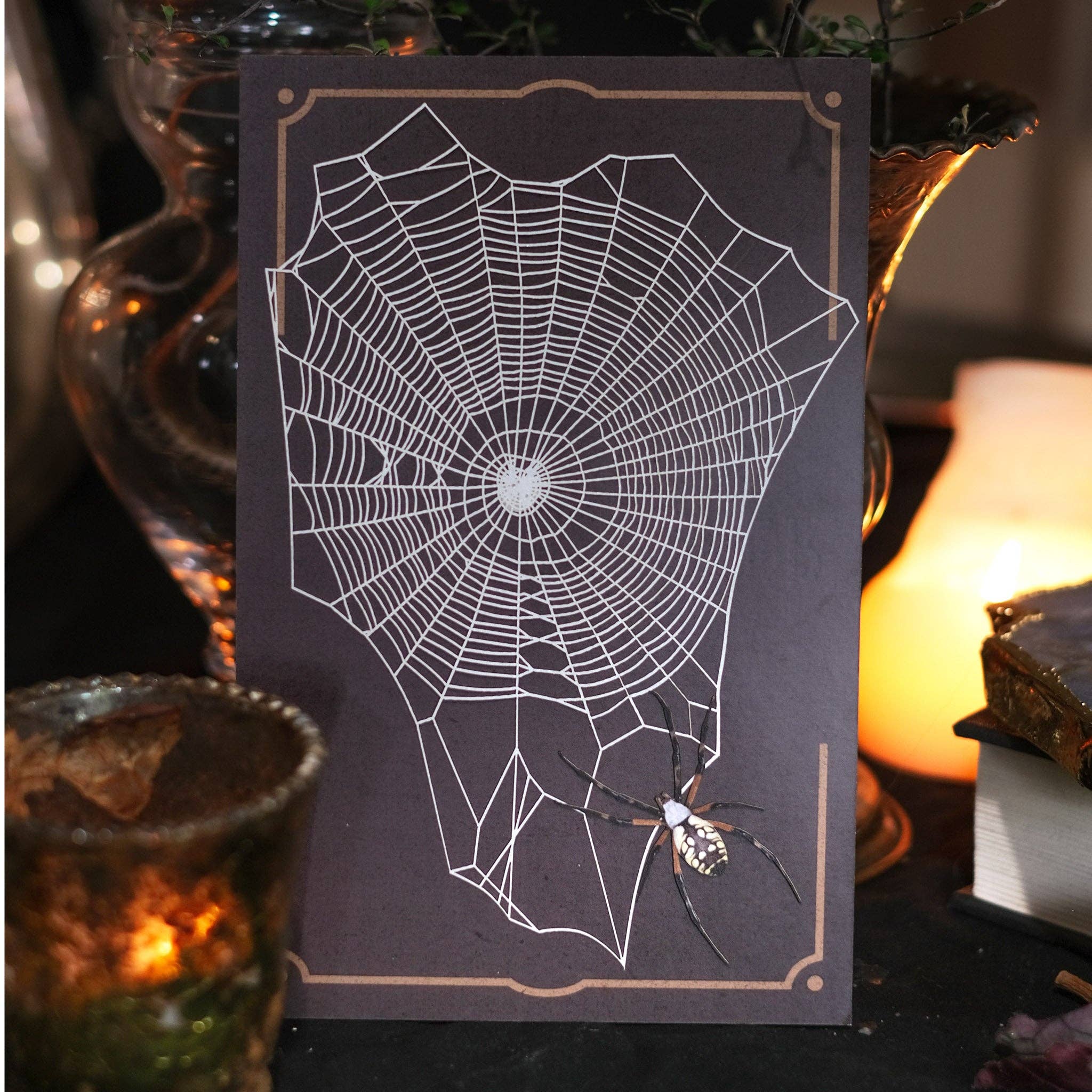 Weaver Spiderweb & Spider Paper Set