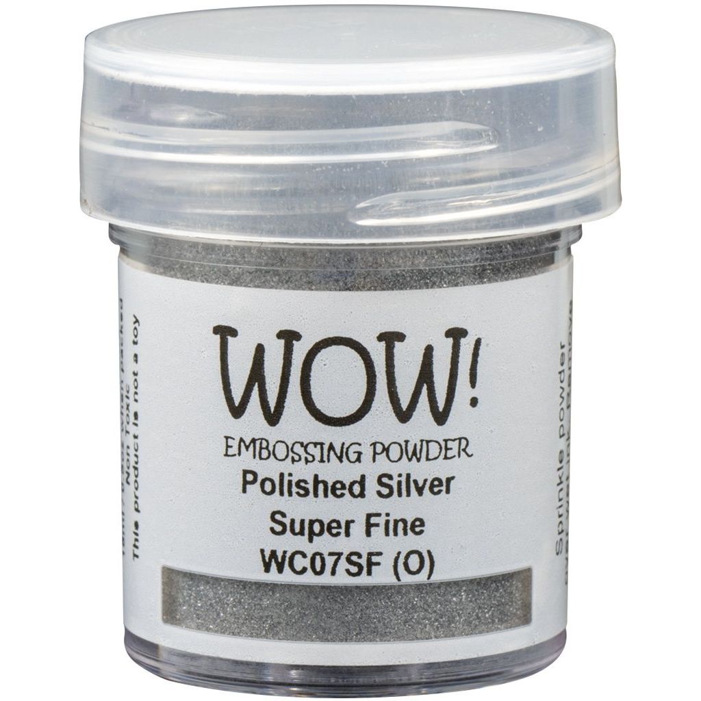 Polished Silver Embossing Powder