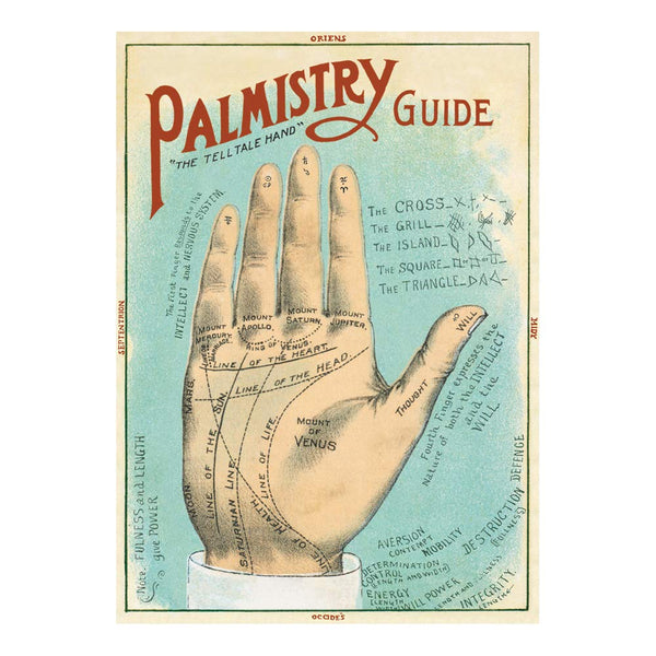 Palmistry 20x28 Wrap Sheet/Art Print