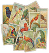 The Collector "Cigarette Cards" Ephemera Packs