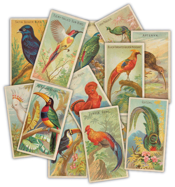 The Collector "Cigarette Cards" Ephemera Packs