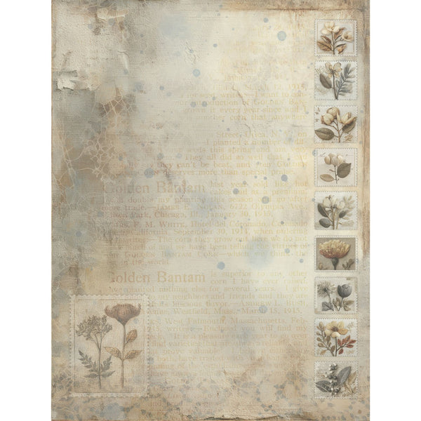 Faded Memory Lane 6x8 Collection Pack