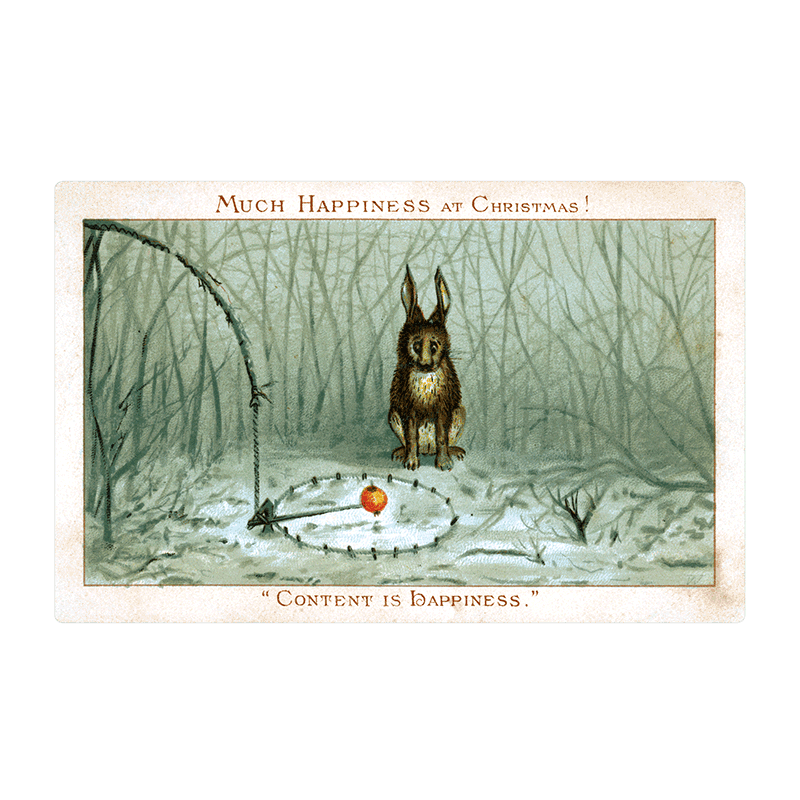 We Wish You a Crazy Christmas Postcard Book