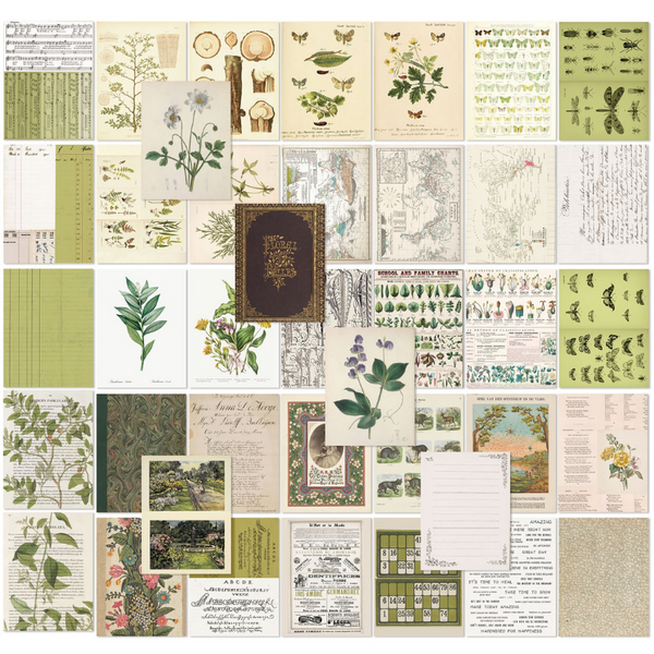 Collage Sheets 6x8 | Color Swatch: Grove