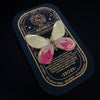 Zodiac Butterfly and Moth Enamel Pin Collection