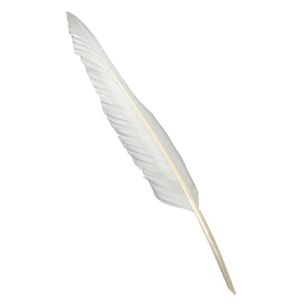 White 12" Feather Quill