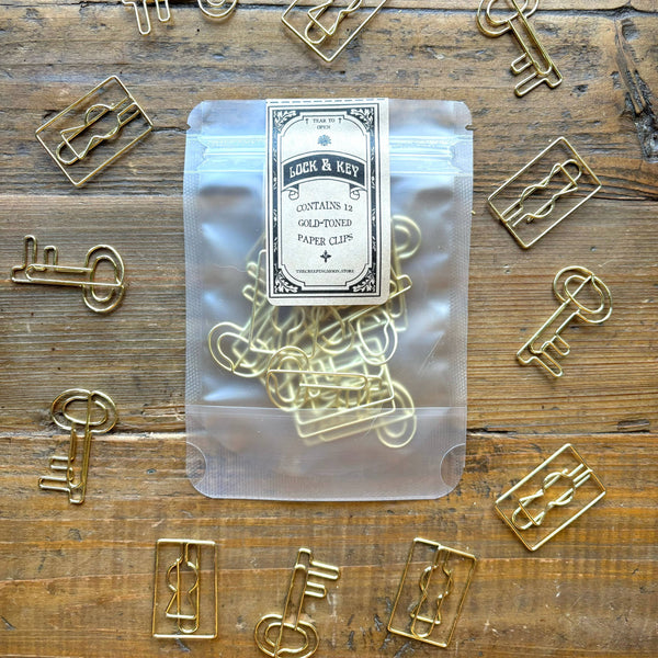 Lock & Key Paper Clips