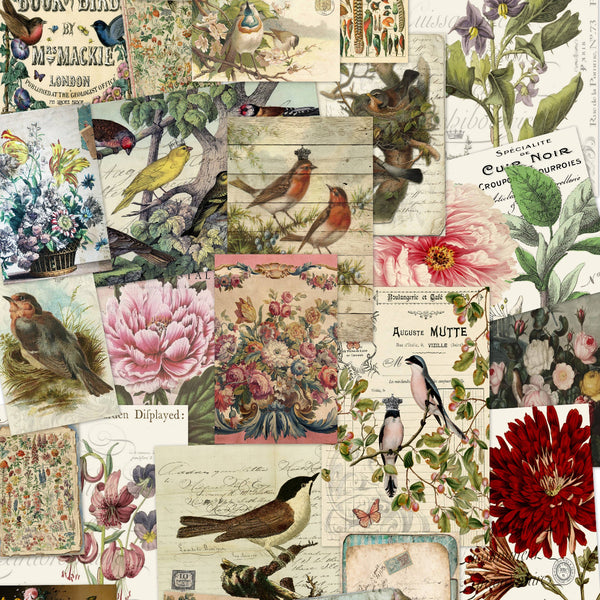 Collage of vintage-style illustrations featuring birds, flowers, and text on a white background.