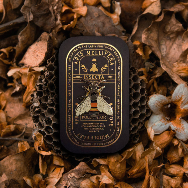 {coming soon!} Western Honey Bee Educational Insect Enamel Pin