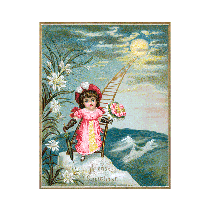 We Wish You a Crazy Christmas Postcard Book