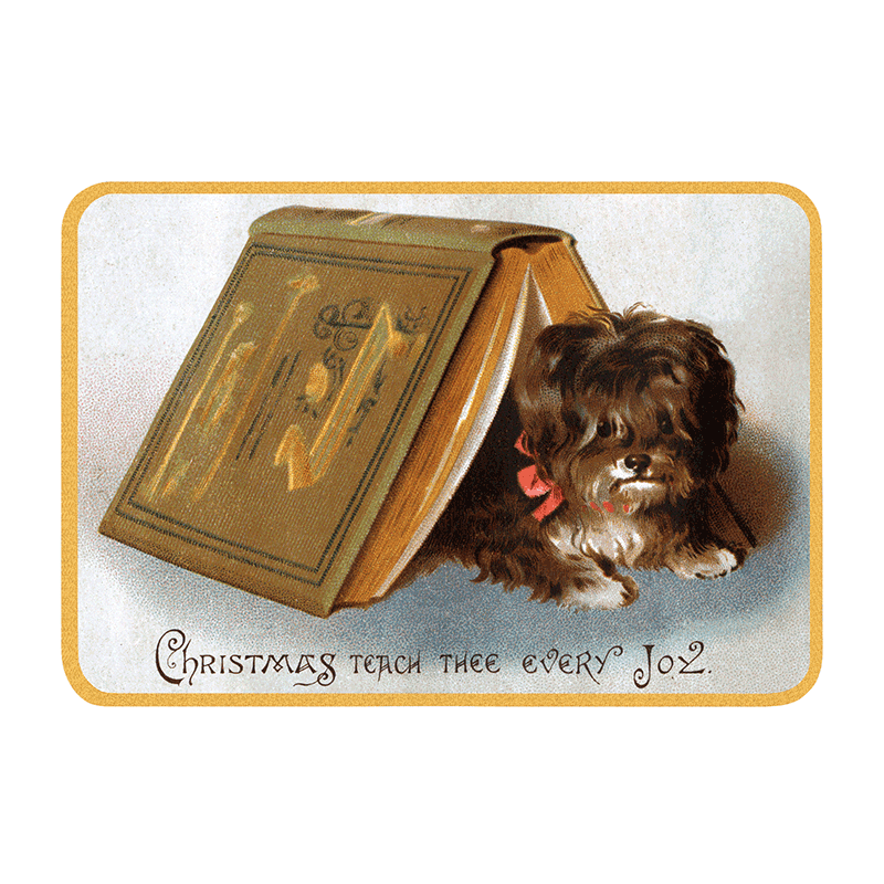 We Wish You a Crazy Christmas Postcard Book