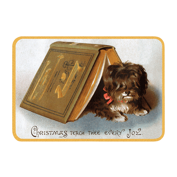 We Wish You a Crazy Christmas Postcard Book