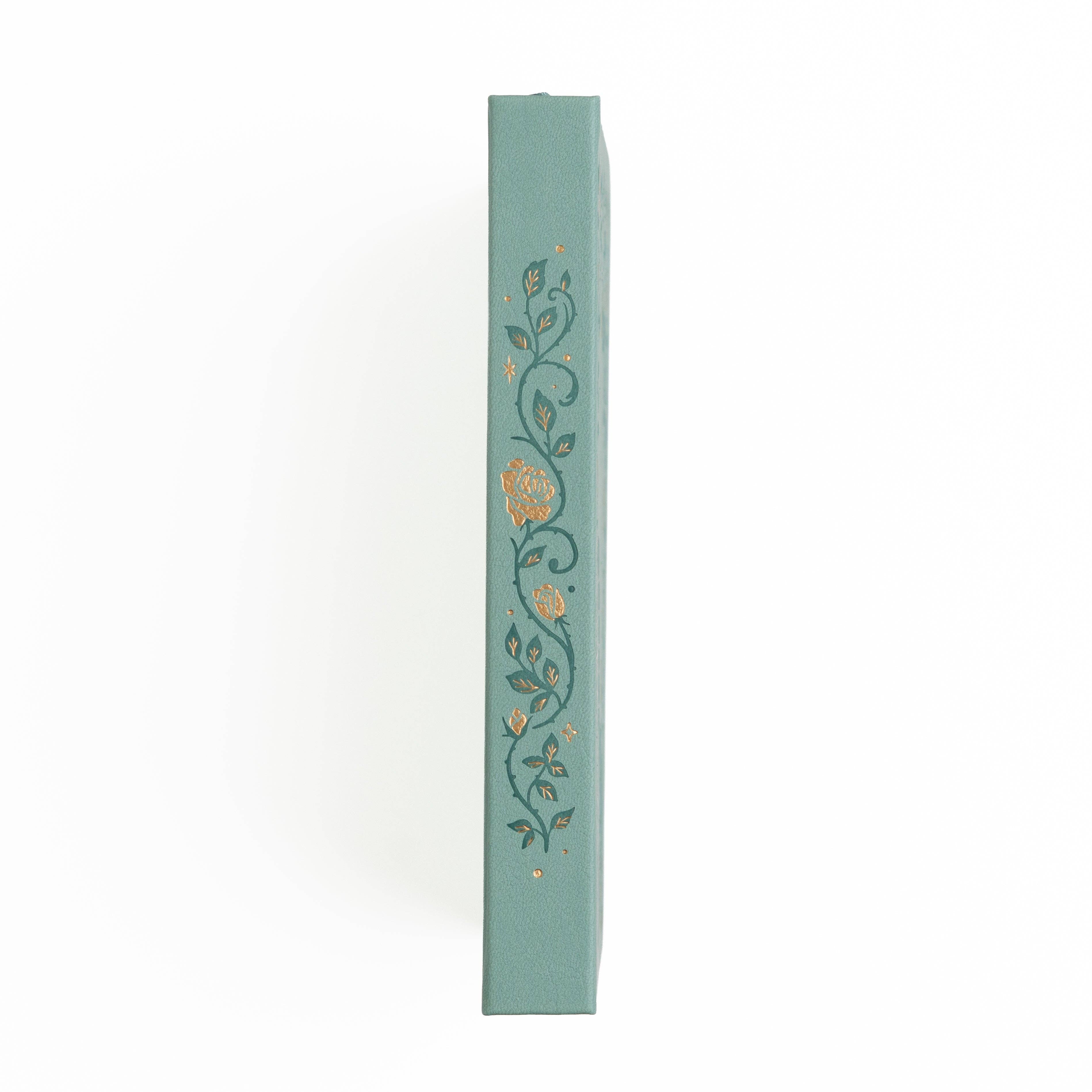 Books of Beauty A5 Reading Journal