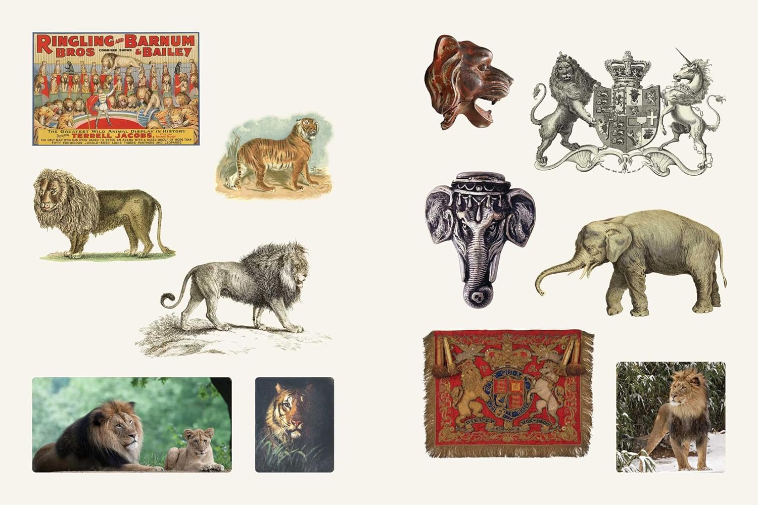 Cabinet of Curiosities II Sticker Compendium of Amazements & Oddities | Smithsonian Institute