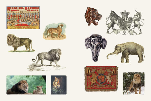 Cabinet of Curiosities II Sticker Compendium of Amazements & Oddities | Smithsonian Institute