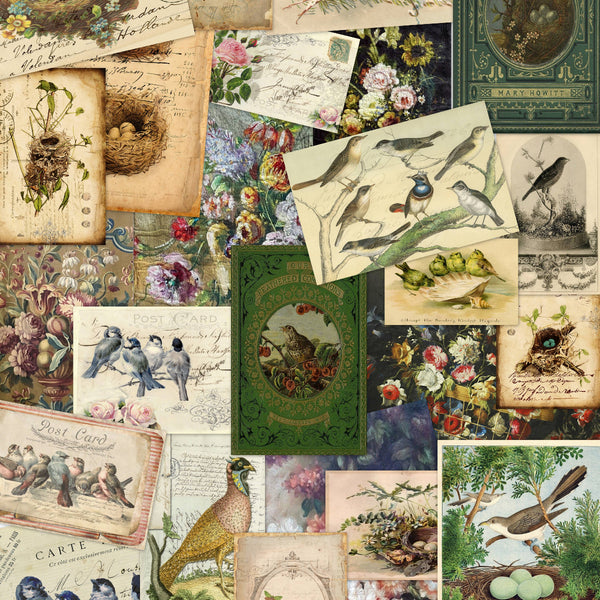 Collage of vintage-style cards with birds, nests, and nature-themed illustrations.