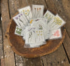 Assorted Pressed Botanicals