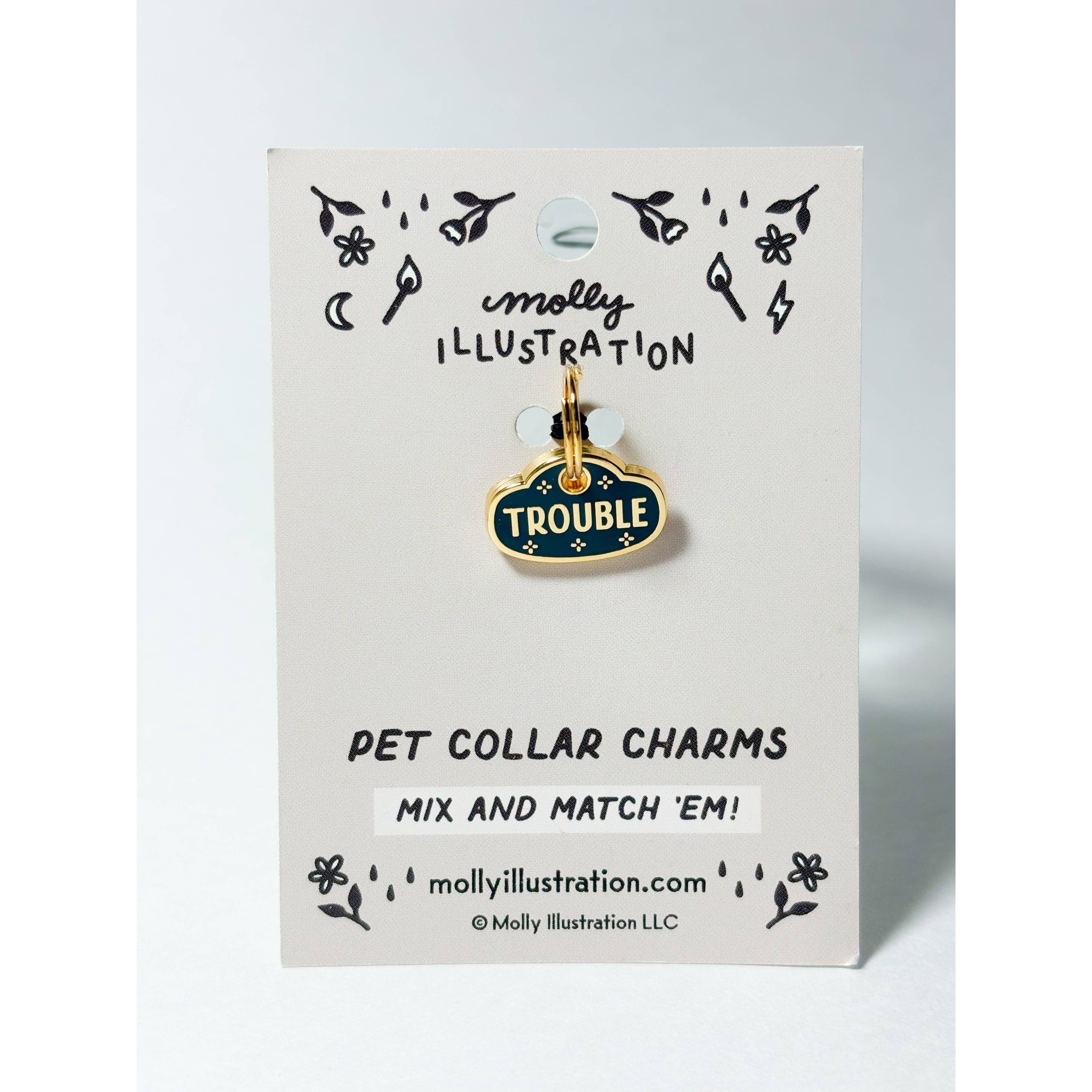 Trouble Charm