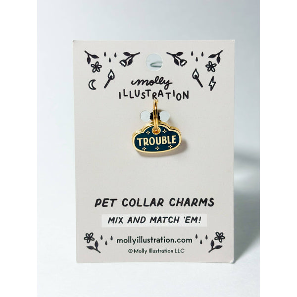 Trouble Charm