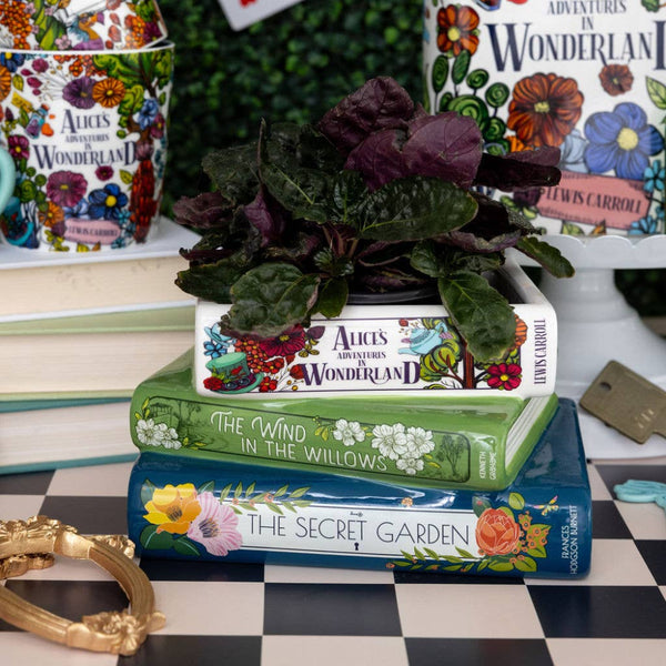 Stacked Books Planter | Alice + Wind in the Willows + Secret Garden