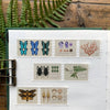 Specimen Drawer Perforated Stamp Washi Tape