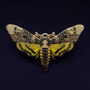 Zodiac Butterfly and Moth Enamel Pin Collection