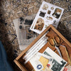 The Writer's Desk Acrylic Stamp Set