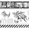 Field Notes PET Tape Set