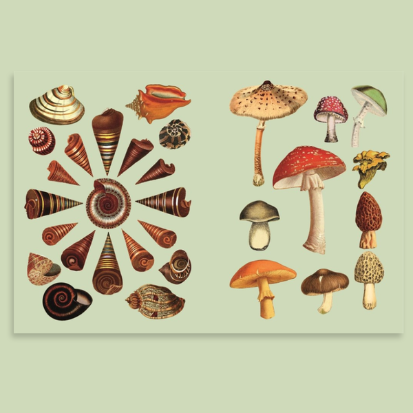 Antiquarian Sticker Book: 1000+ Victorian Stickers