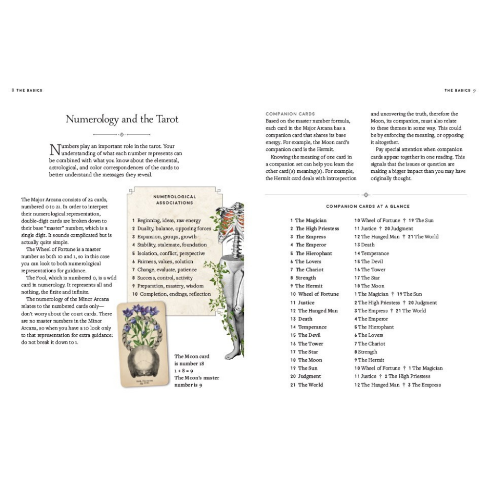 Antique Anatomy Tarot Kit