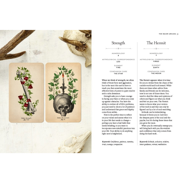 Antique Anatomy Tarot Kit