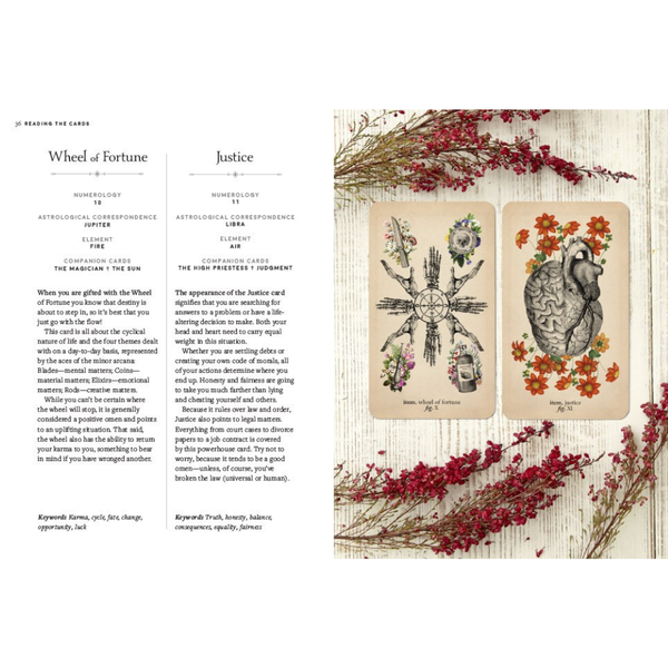 Antique Anatomy Tarot Kit