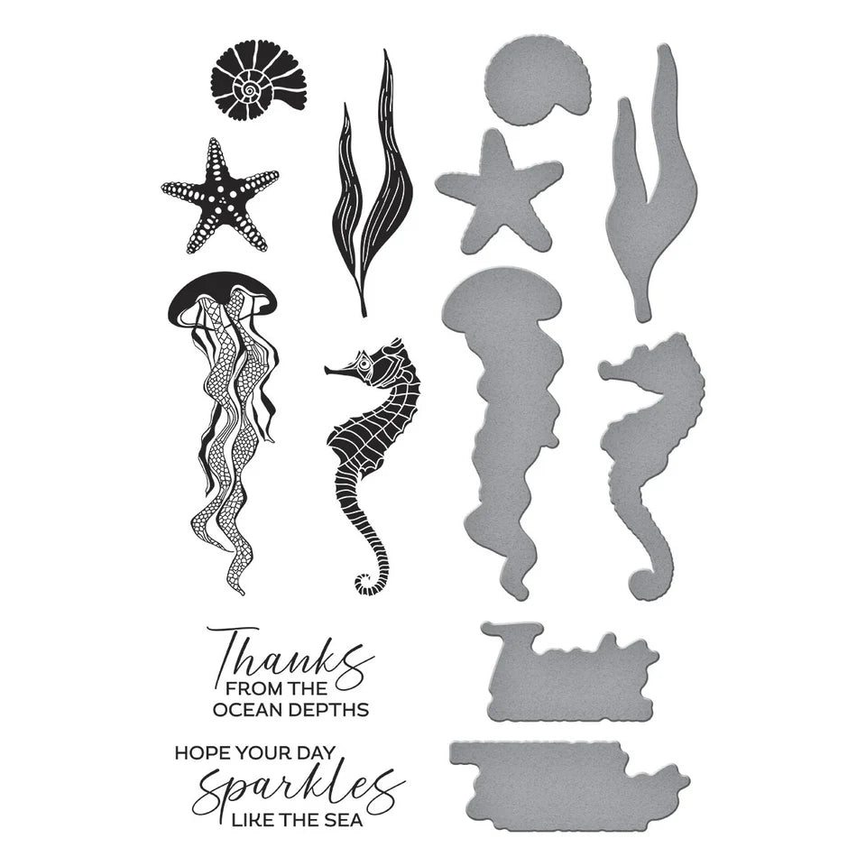 Sea Friends Press Plate + Die Set | Betterpress Society Exclusive {June 2025}