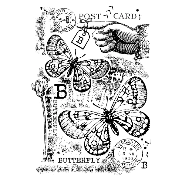 B est pour le jeu de tampons transparents Butterfly