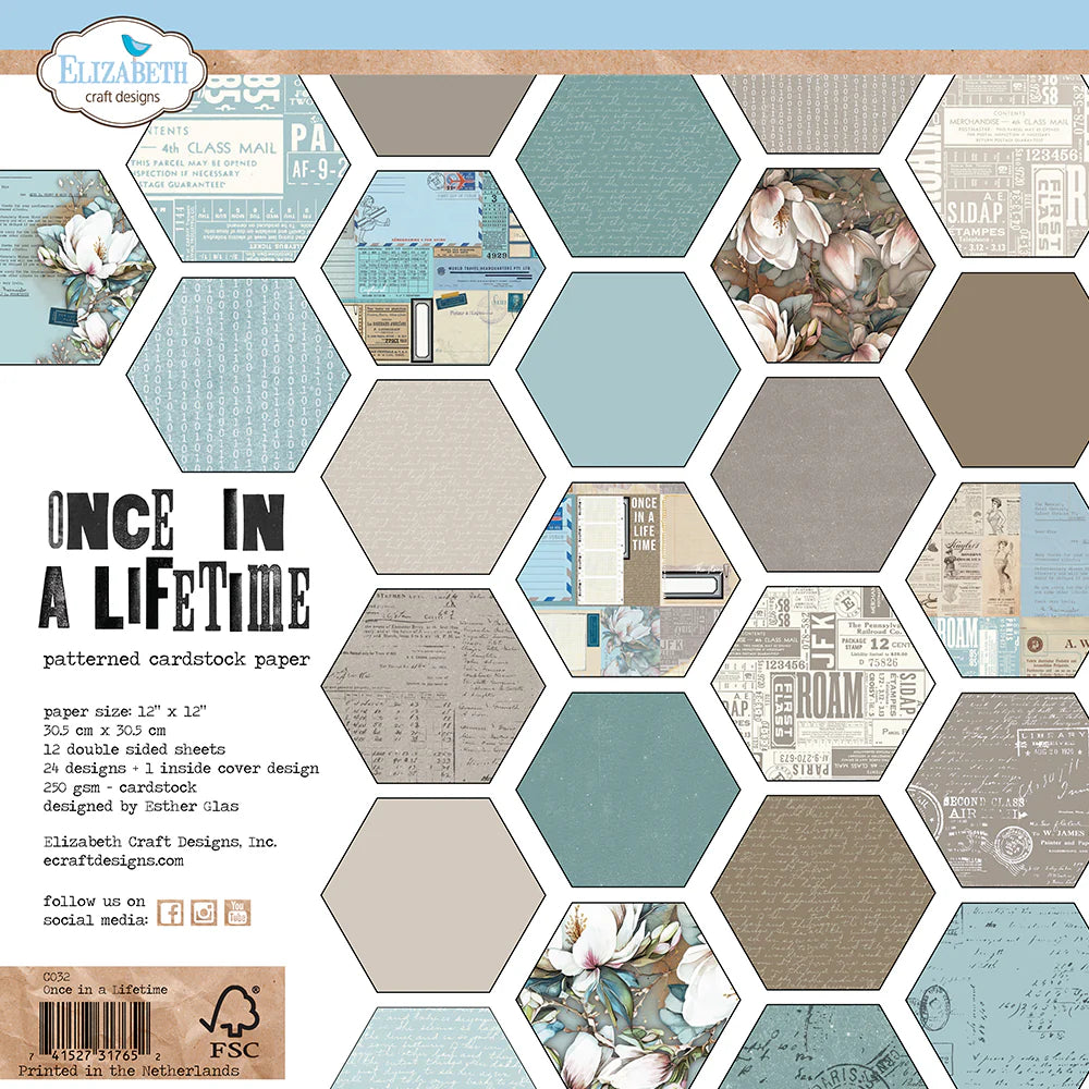 Once in a Lifetime 12x12 Paper Pack