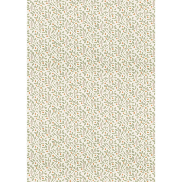 Typographic A4 Creative Pad