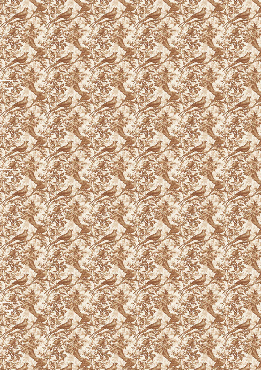 {coming soon!} Book Lovers A5 Mixed 8pk Rice Paper Vol. 2