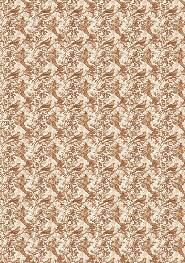 {coming soon!} Book Lovers A5 Mixed 8pk Rice Paper Vol. 2