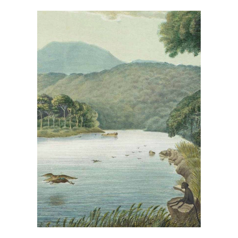 Cut Up This Book: Creative Papers | 100 Patterns and Backgrounds for Junk Journals, Scrapbooks and Collages