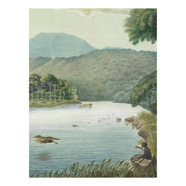 Cut Up This Book: Creative Papers | 100 Patterns and Backgrounds for Junk Journals, Scrapbooks and Collages