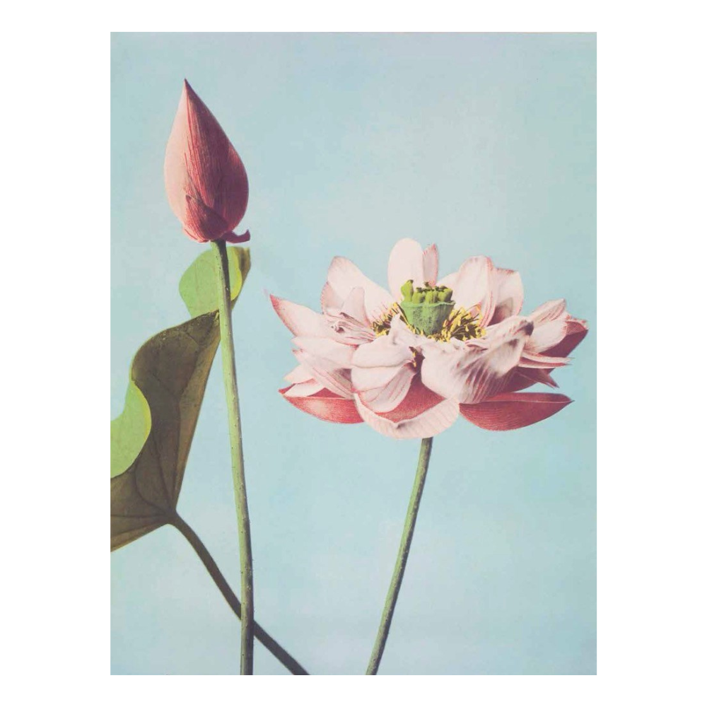 Cut Up This Book: Creative Papers | 100 Patterns and Backgrounds for Junk Journals, Scrapbooks and Collages