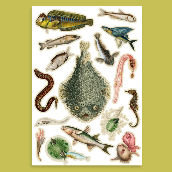 Cut Up This Book and Create Your Own Mysterious Underworld: 1,000 Unexpected Images for Collage Artists