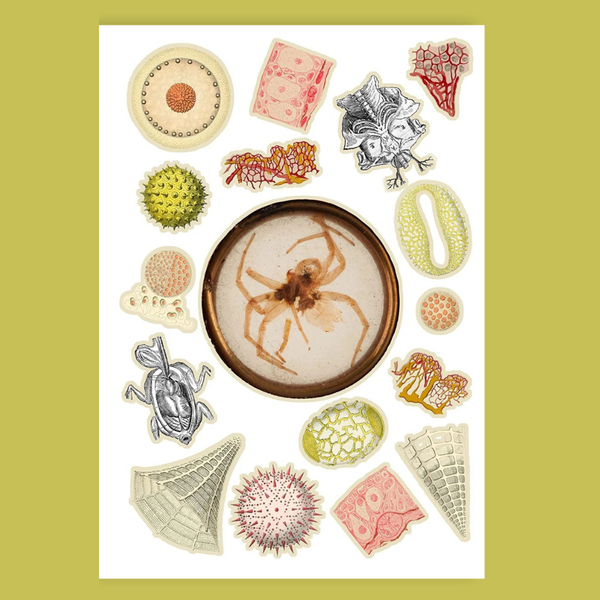 Cut Up This Book and Create Your Own Mysterious Underworld: 1,000 Unexpected Images for Collage Artists