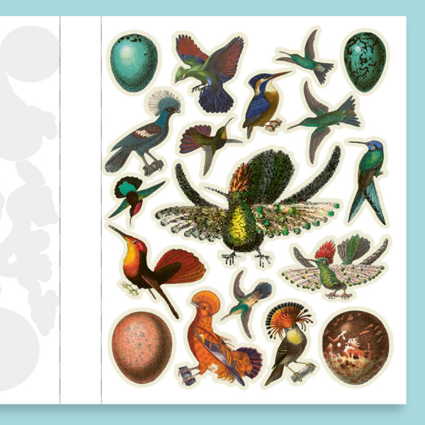 Cut Up This Book and Create Your Own Wonderland: 1,000 Unexpected Images for Collage Artists